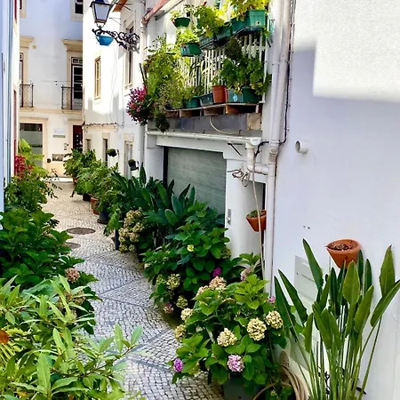 Appartamento O Cantinho Do Terreiro - Centro Historico *